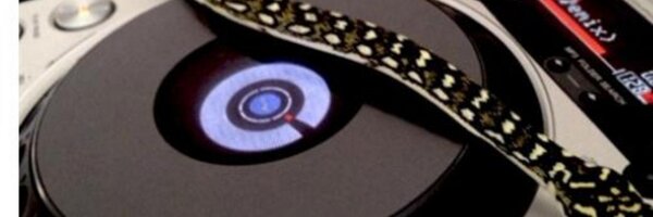 DjPython1 Profile Banner