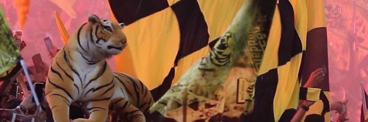 Mu3ath525's profile banner image