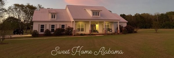 Skyfrog1SG Profile Banner