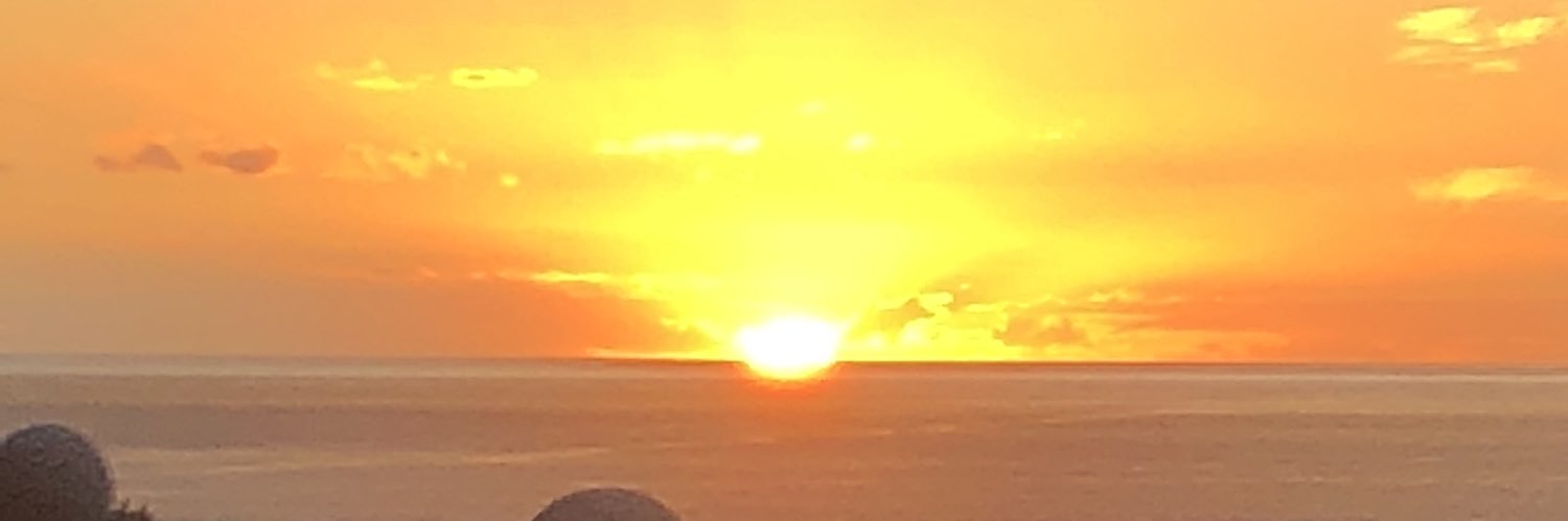 siandreg's profile banner image