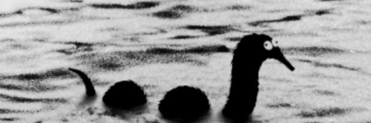 baileefntnt's profile banner image