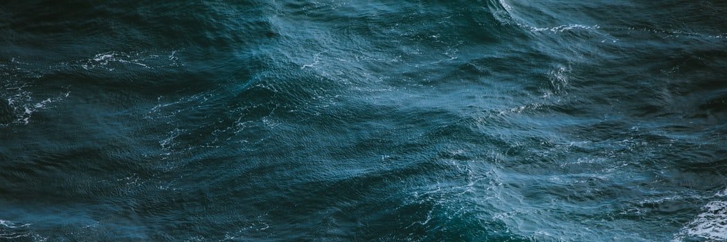 bellabop's profile banner image