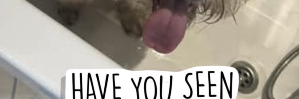 Linda fitzpatrick banner