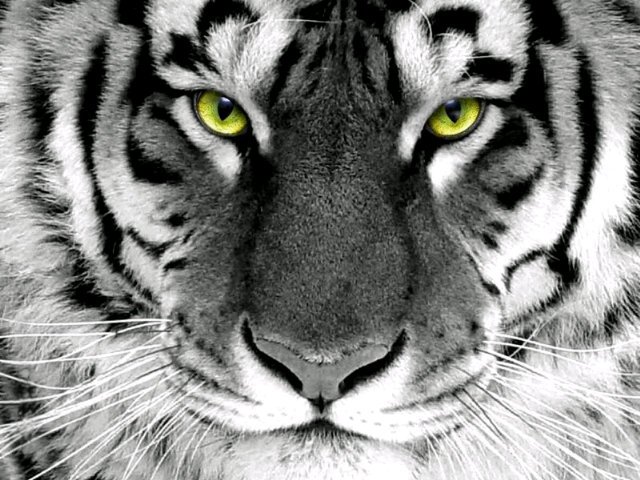 achmad_rizky's profile banner image