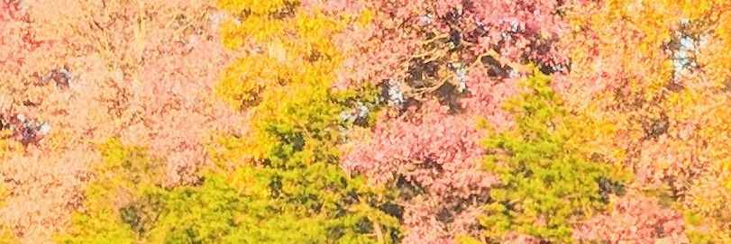 nosarep's profile banner image