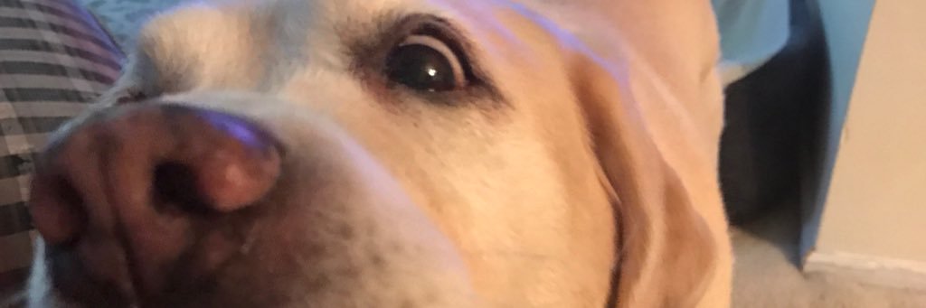 sand_storm18's profile banner image