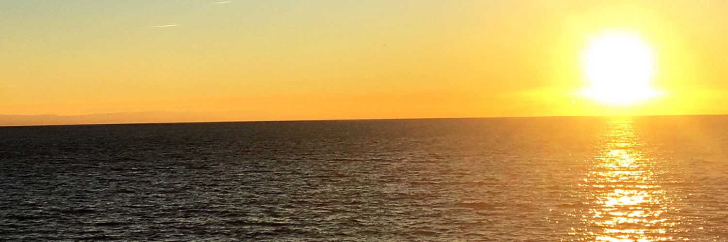 Afox_101's profile banner image