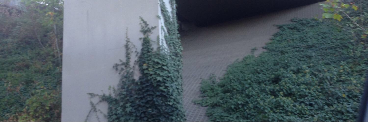 codyrpgdnp's profile banner image
