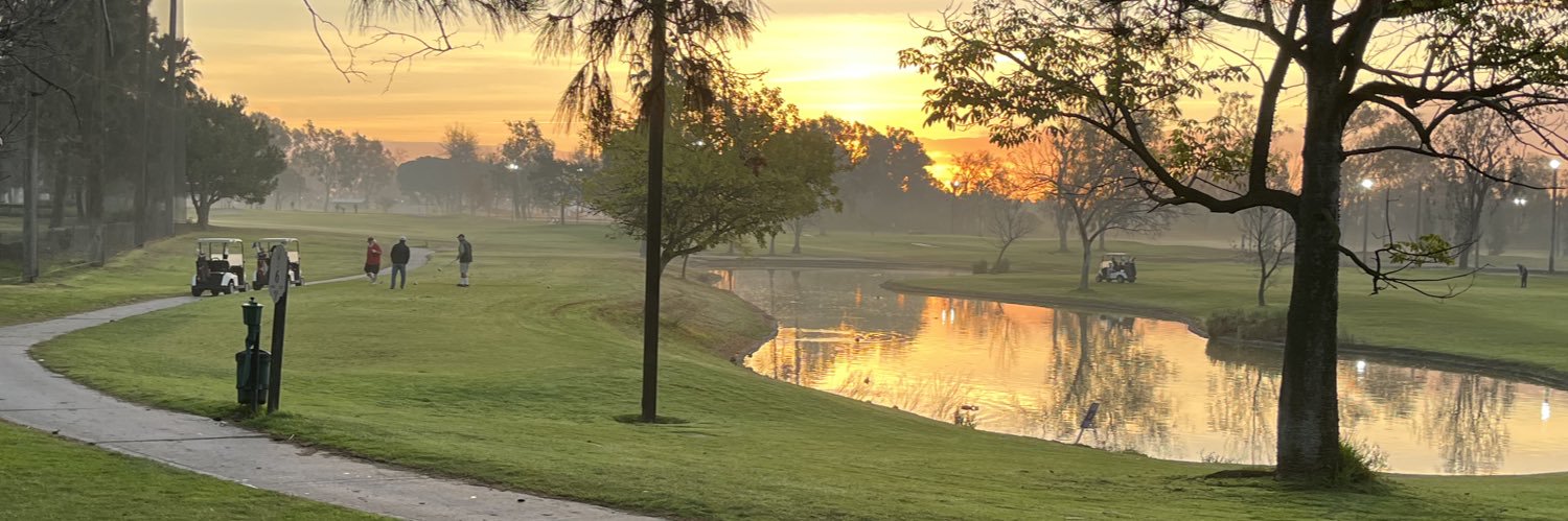 Witness from a Distance banner