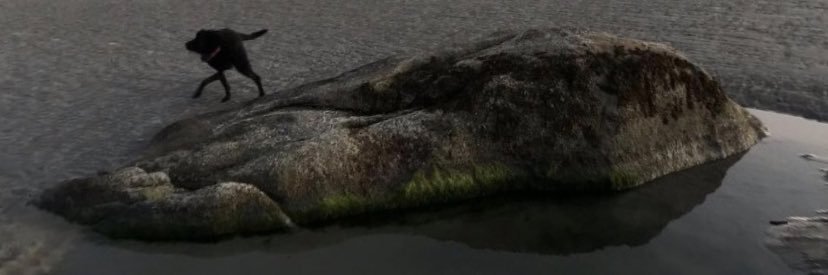 themoledancerz's profile banner image