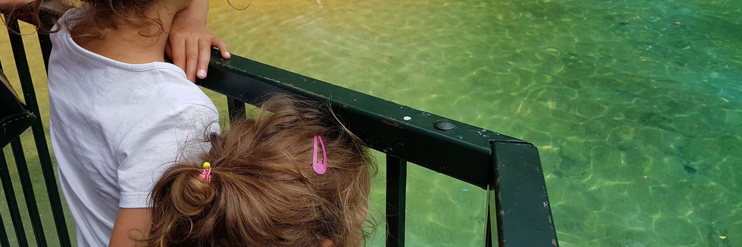 AmandaCyrille's profile banner image