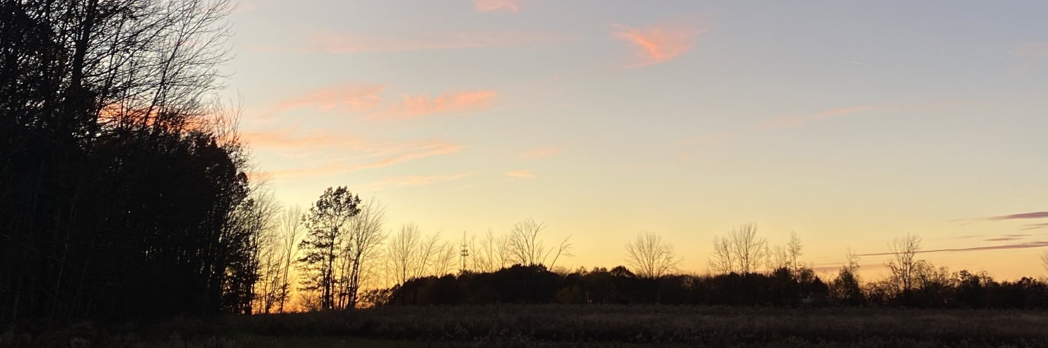 Tasha Lane banner