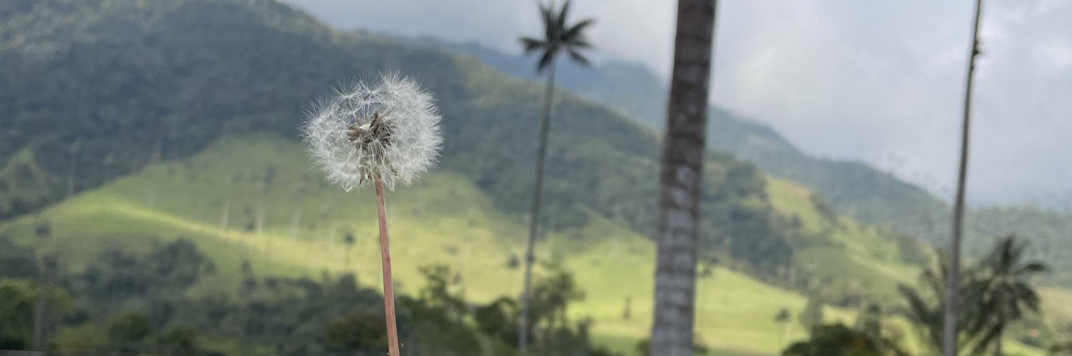 AnaSiu2's profile banner image