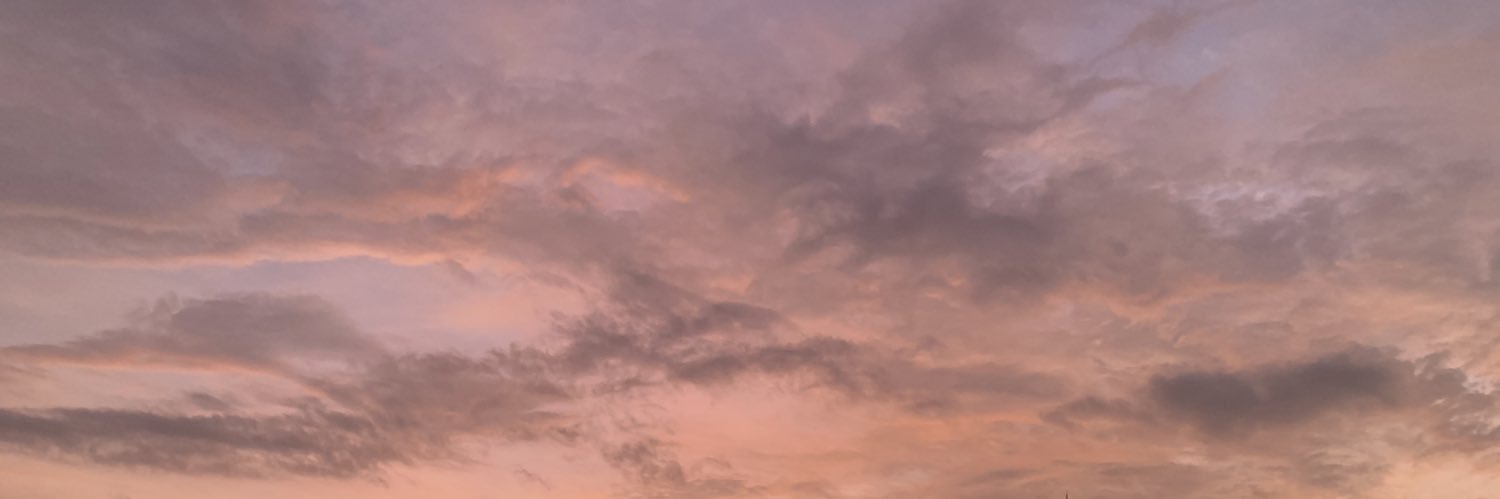 ssomungchi's profile banner image