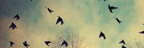 anna_hm24's profile banner image