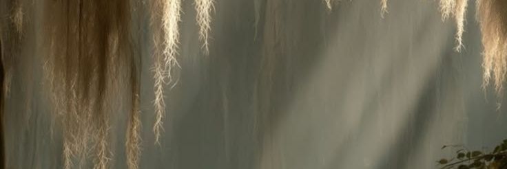 Yttrium227's profile banner image