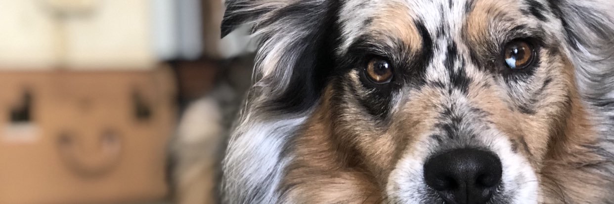 miss_madelinee's profile banner image