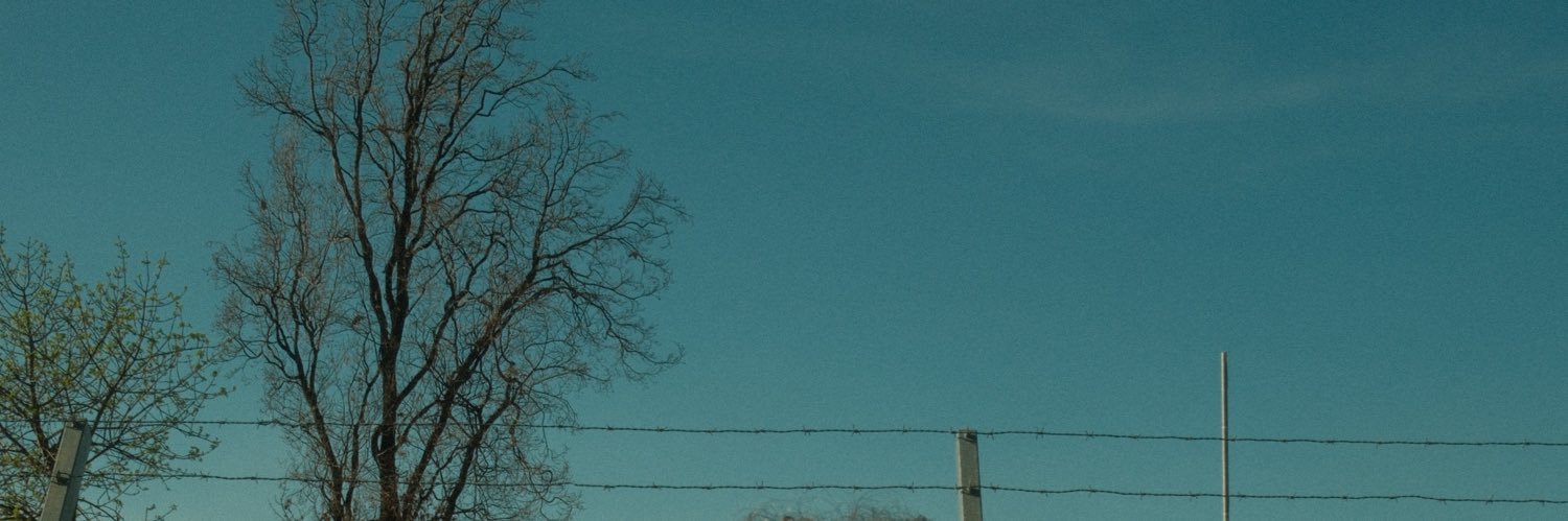 buzzlarthyear's profile banner image