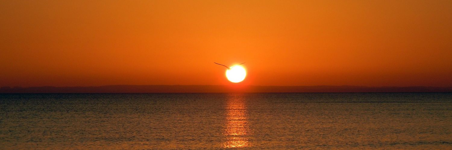 laura_caselles's profile banner image