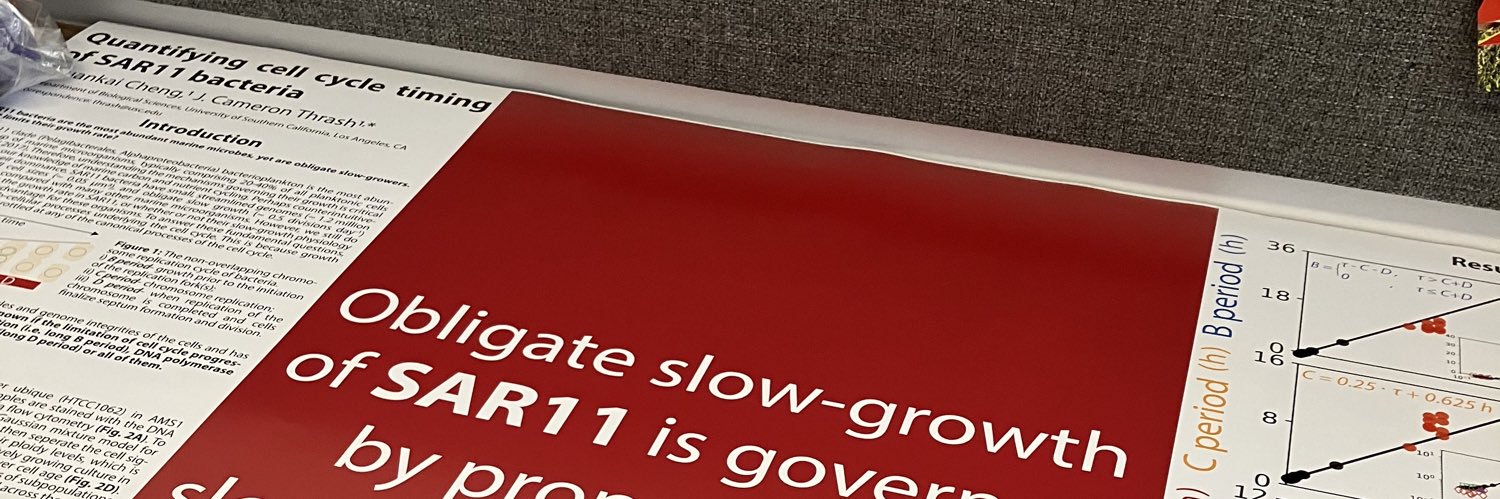 ChuánKǎi Chéng 程傳凱 banner