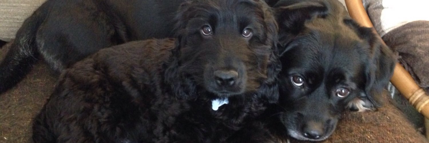 Lisa Michelle banner