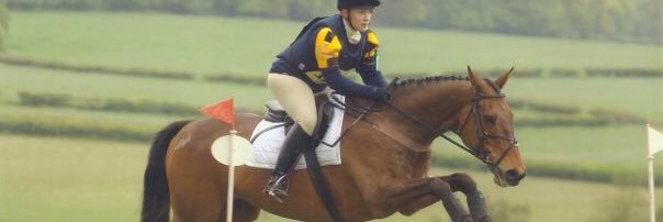 HarlequinEquine's profile banner image