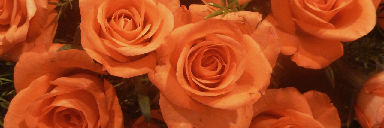 𝗸𝗮𝘁𝗵𝗲𝗿𝗶𝗻𝗲 🧡 banner