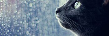 asaik_1's profile banner image