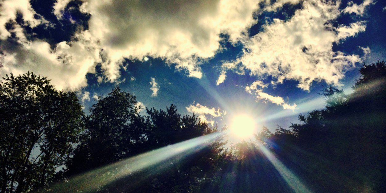 HaleyCotrupi's profile banner image