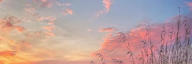Vera ✿barb's banner