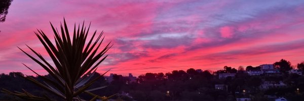 SimonzNina Profile Banner