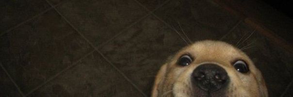 NaiRamos_'s profile banner image