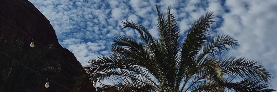 yzvzz's profile banner image