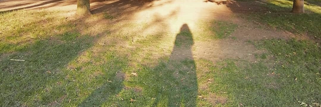 TheArcherRose's profile banner image