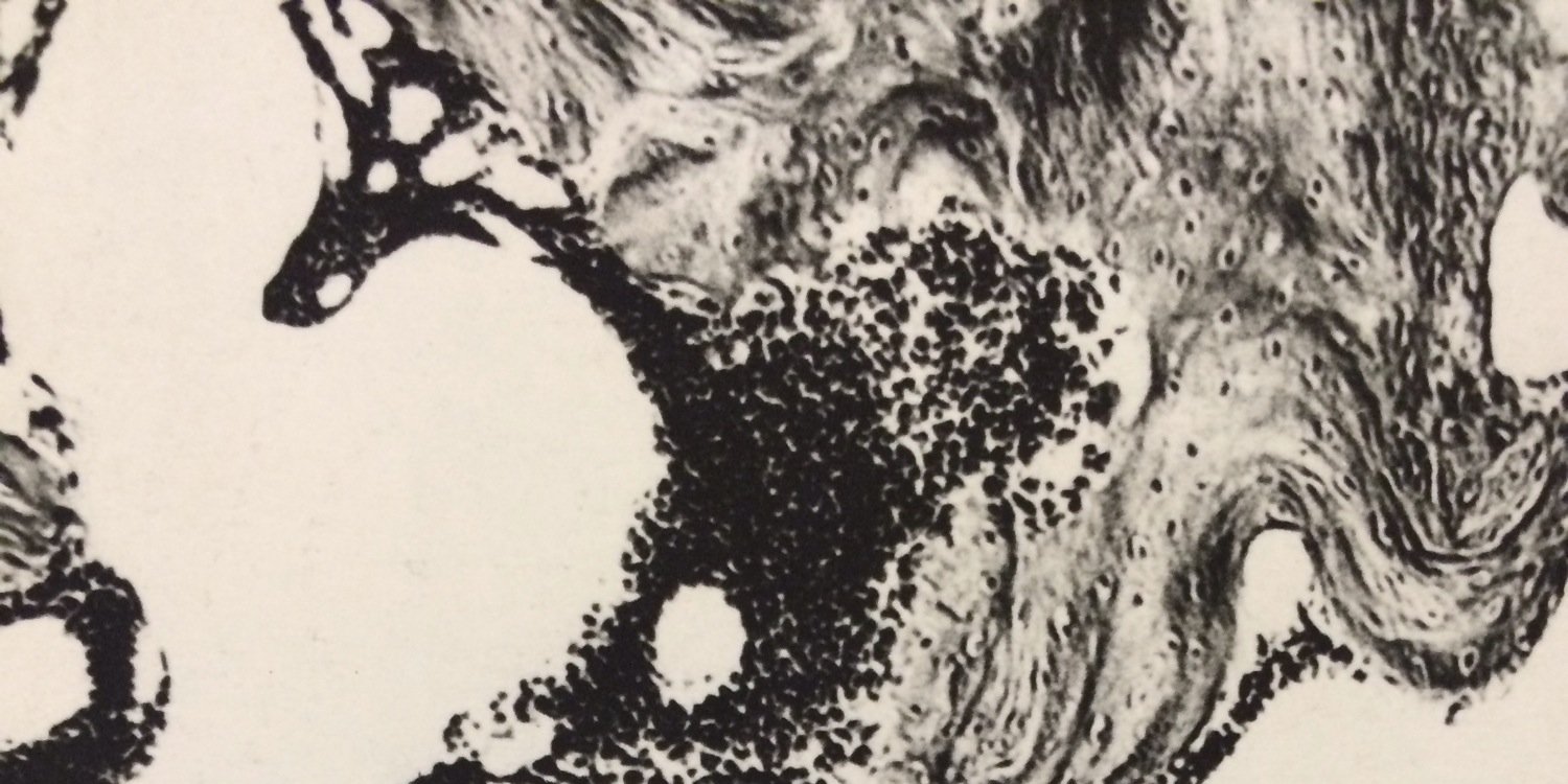GraceDille's profile banner image