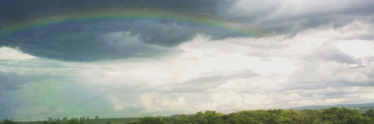 Marco Plancarte banner