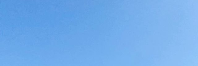 lemonchan001's profile banner image