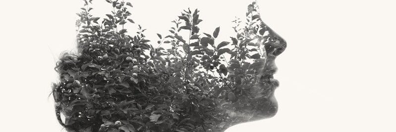 R.O. banner