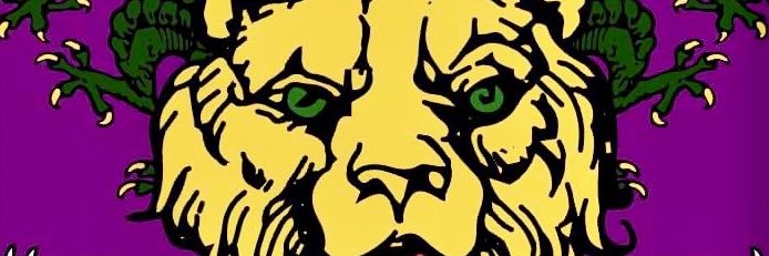star_lion_'s profile banner image