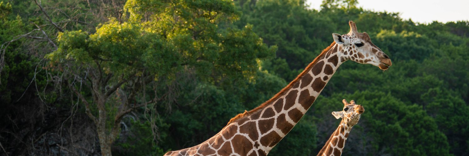 Fossil Rim Wildlife Center banner