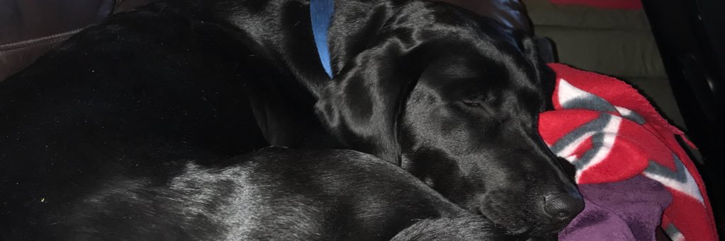 trentTON15's profile banner image