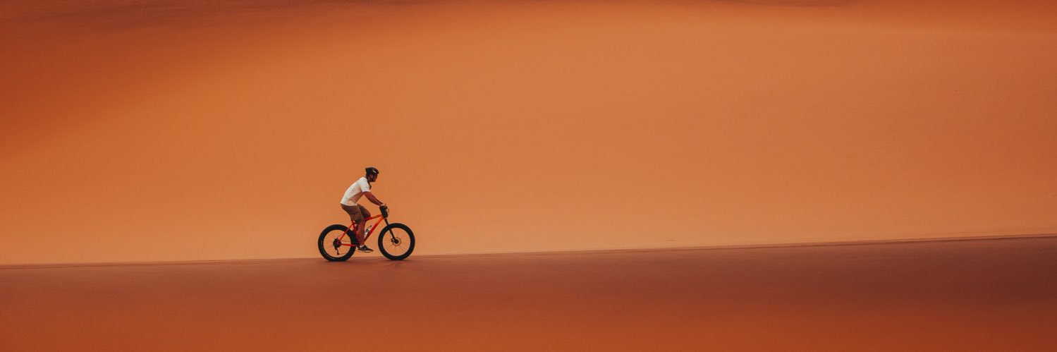 Steele (91%)🎚 banner