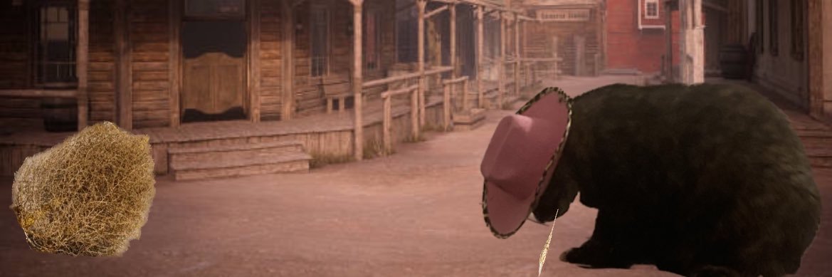 aleafunkhouser's profile banner image