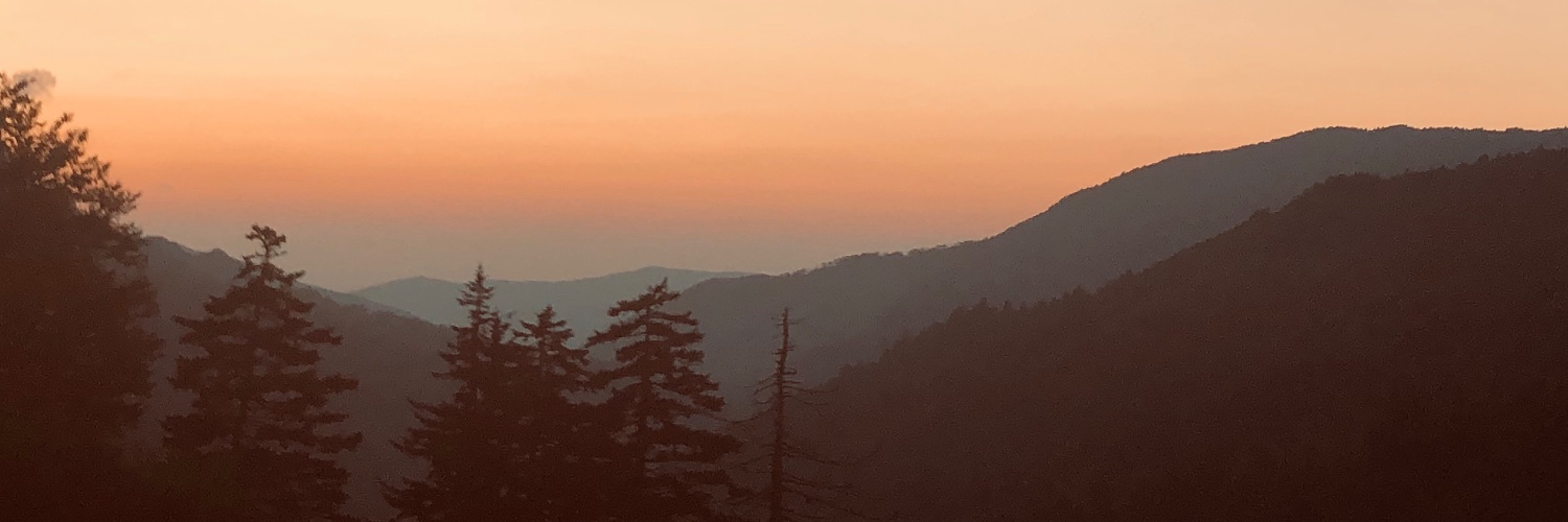 whereandat's profile banner image