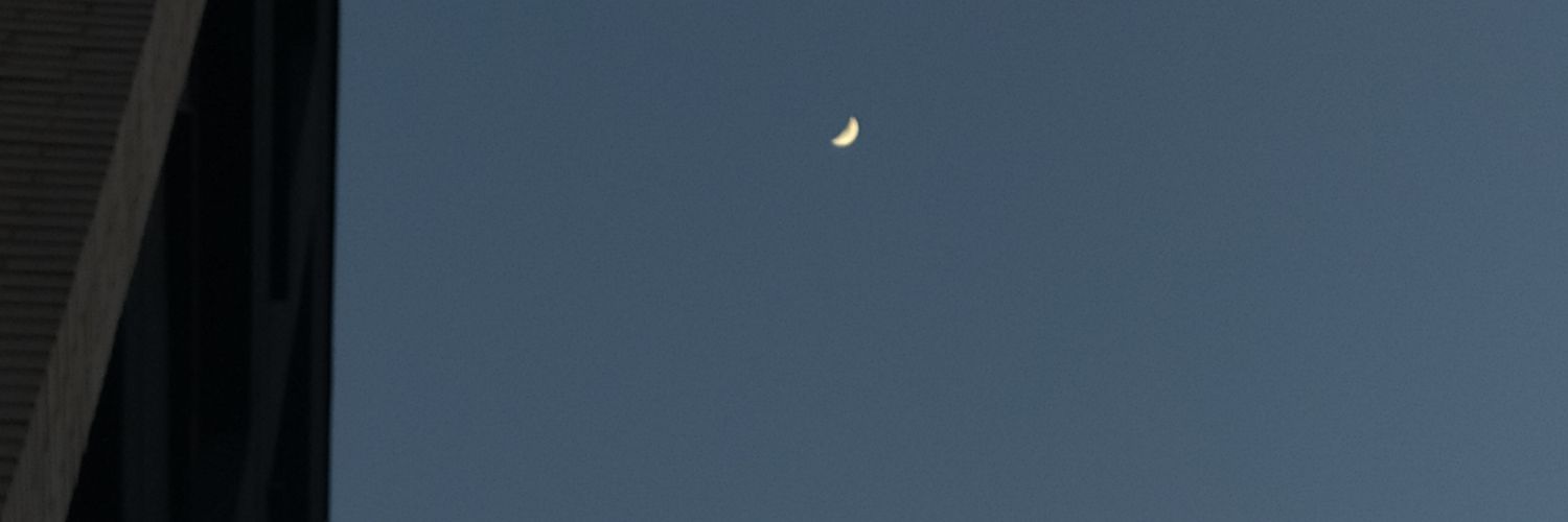 irene banner