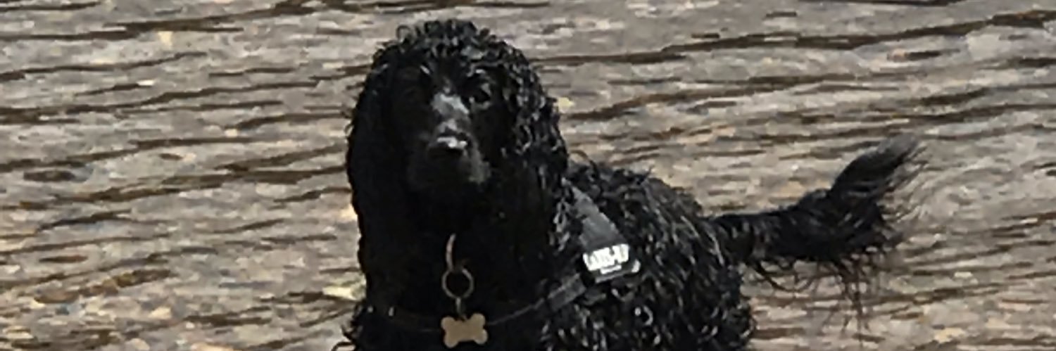 Ashman40's profile banner image