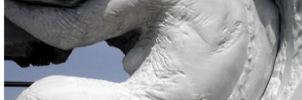 HarvardSocial Profile Banner