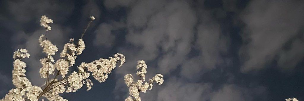 ella_encila88's profile banner image