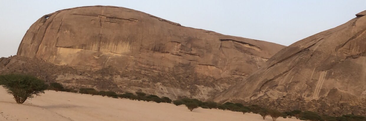 محمد الشهراني banner