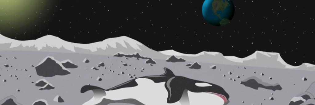 gingy_bear's profile banner image
